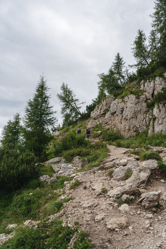 Hikers on a rugged mountain trail with green forest and rocky terrain