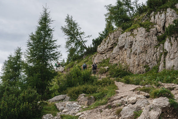 Hikers on a rugged mountain trail with green forest and rocky terrain