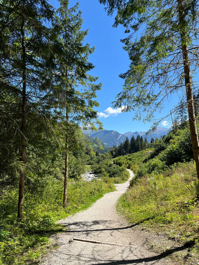 Scenic mountain hiking trail surrounded by greenery