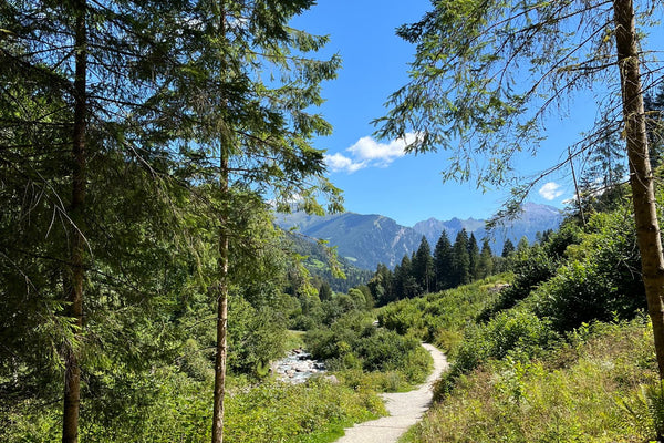 Scenic mountain hiking trail surrounded by greenery