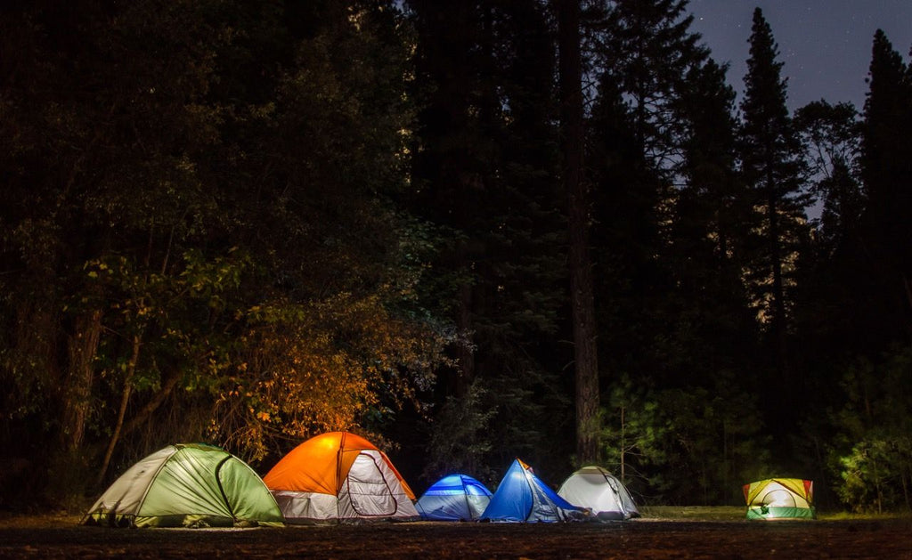 Camping tents glowing at dusk in a forest campsite