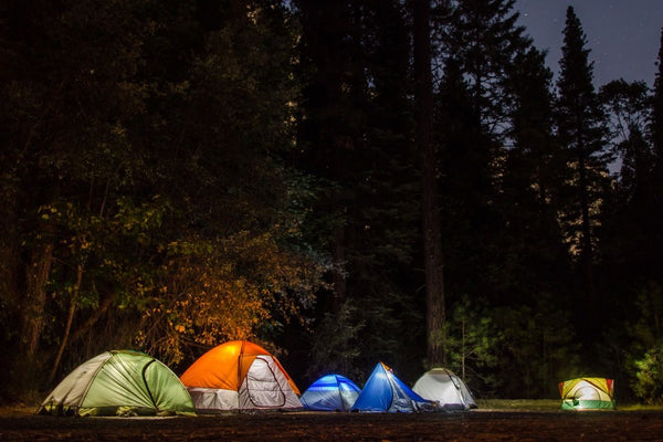 Camping tents glowing at dusk in a forest campsite