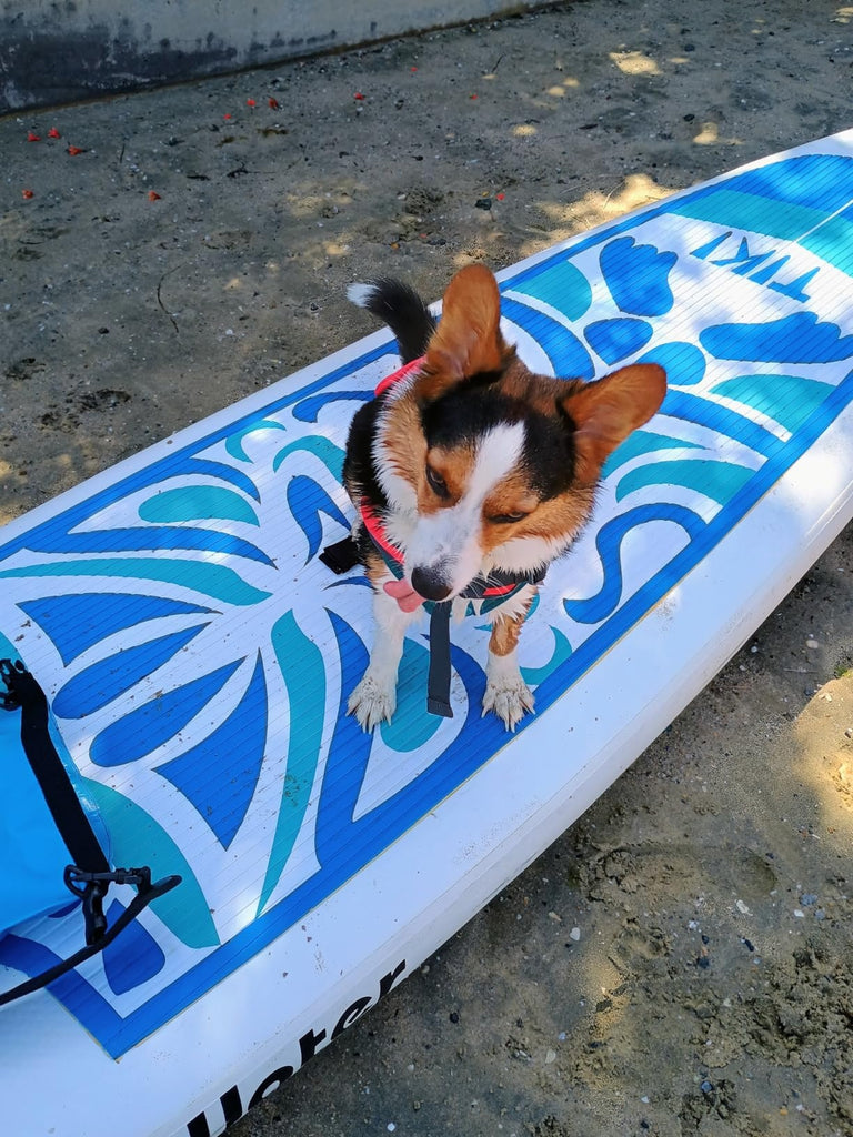 FunWater 10'6